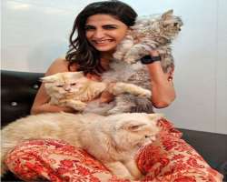 She is an animal lover, especially cats and has also reared a few.